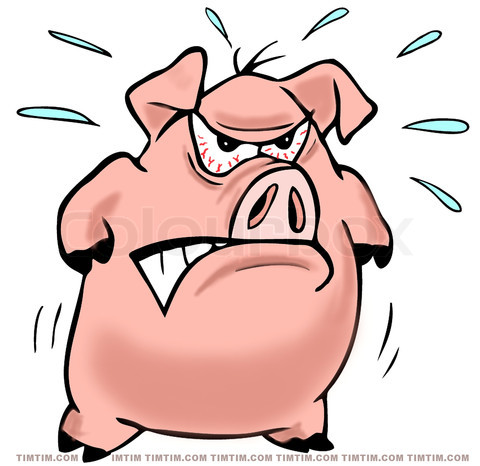 1722701-826726-mad-pig-with-angry-face.jpg
